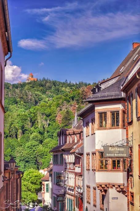 Ferienwohnung Zwischen Weinheim Und Hemsbach Ngoại thất bức ảnh